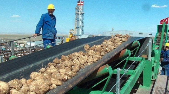 Şekere yüzde 16 zam geldi