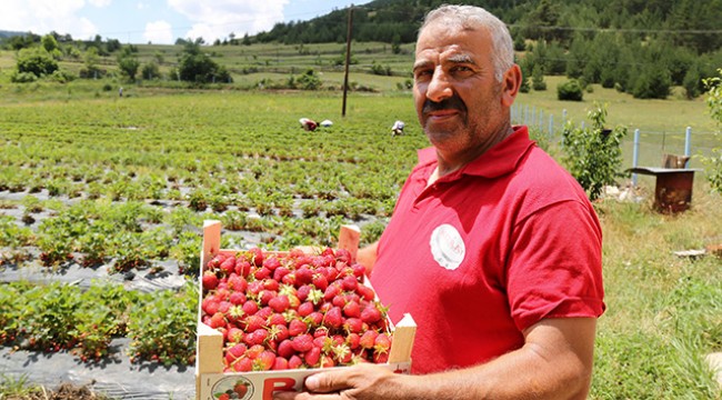 Tavsiye üzerine başladılar şimdi siparişlere yetişemiyorlar