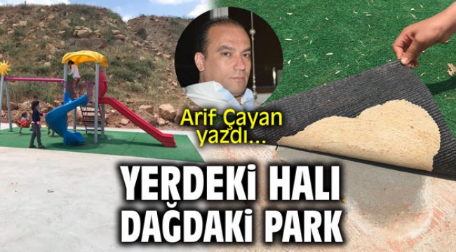 Yerdeki halı, dağdaki park! Arif Çayan yazdı...