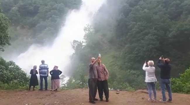 Yoldan geçerken görenler araçlarından inip fotoğrafını çekti