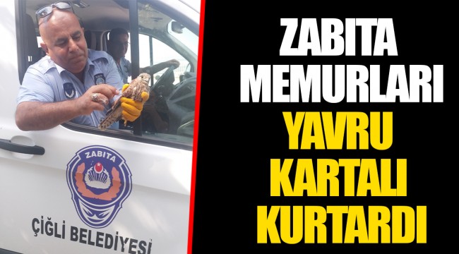 ZABITA MEMURLARI YAVRU KARTALI KURTARDI