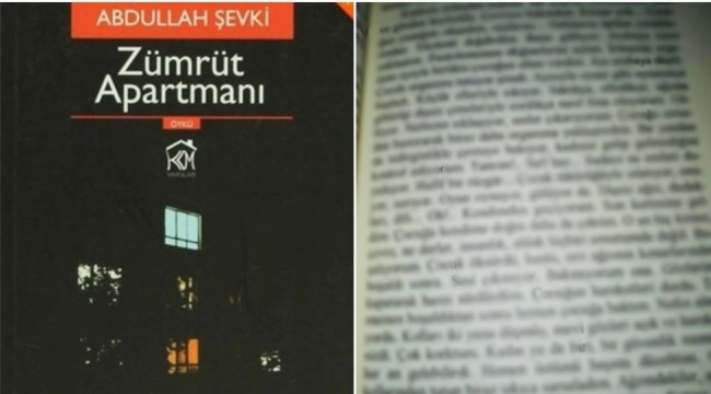 'Zümrüt Apartmanı' kitabının yazarı ve yayıncısı hakkında hazırlanan iddianame kabul edildi
