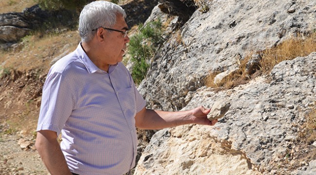 35 milyon yıllık fosiller incelemeye alındı