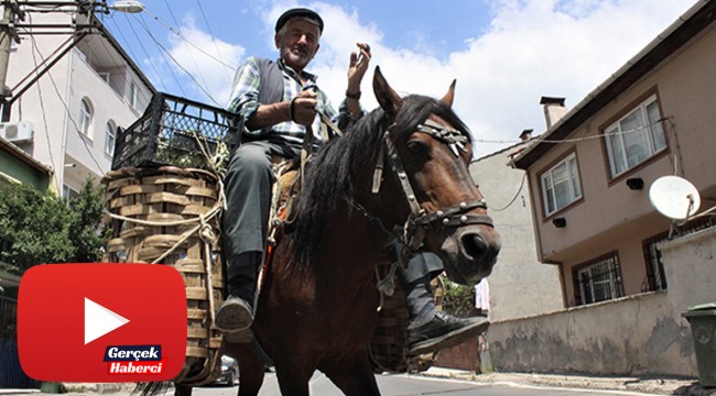 82'lik atlı dededen organik sebze servisi
