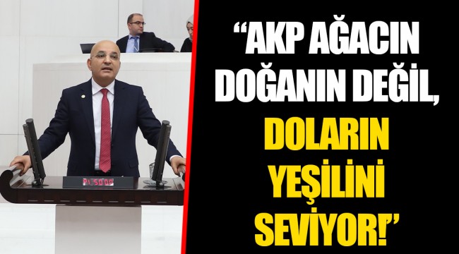 “AKP AĞACIN DOĞANIN DEĞİL, DOLARIN YEŞİLİNİ SEVİYOR!”