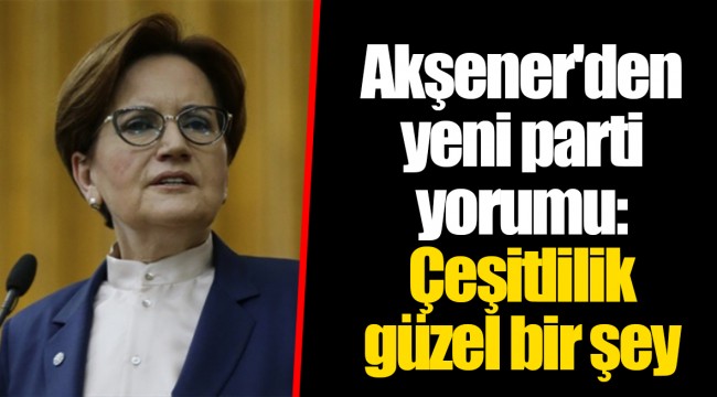 Akşener'den yeni parti yorumu: Çeşitlilik güzel bir şey