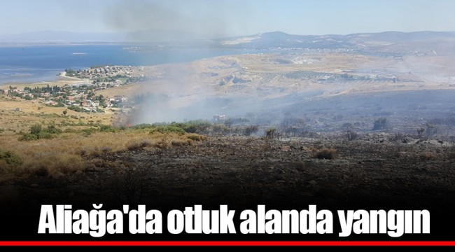 Aliağa'da otluk alanda yangın