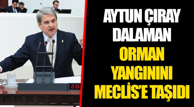 AYTUN ÇIRAY DALAMAN ORMAN YANGININI MECLİS’E TAŞIDI