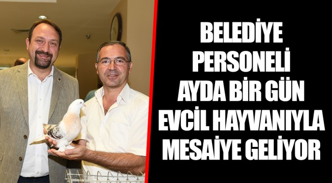 BELEDİYE PERSONELİ AYDA BİR GÜN EVCİL HAYVANIYLA MESAİYE GELİYOR