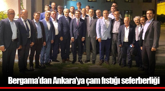 Bergama’dan Ankara’ya çam fıstığı seferberliği