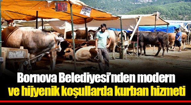 Bornova Belediyesi’nden modern ve hijyenik koşullarda kurban hizmeti 