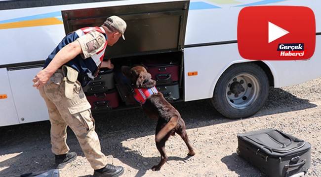 Bu köpekler Mehmetçiğin en büyük yardımcısı