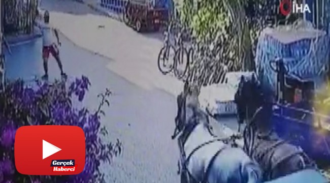 Büyükada'da fayton faciası kamerada