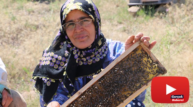 Cesaretiyle erkek arıcılara taş çıkartıyor