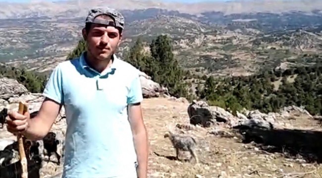 Çobanlık yaparak üniversiteye hazırlandı 536,84 puan aldı