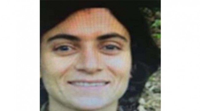 Diyarbakır'da 4 terörist etkisiz hale getirildi