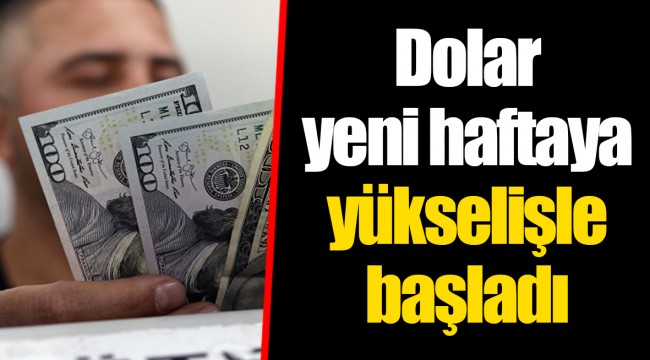 Dolar yeni haftaya yükselişle başladı