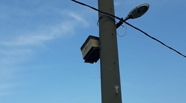 Elektrik direğine sabitlenen arı kovanı