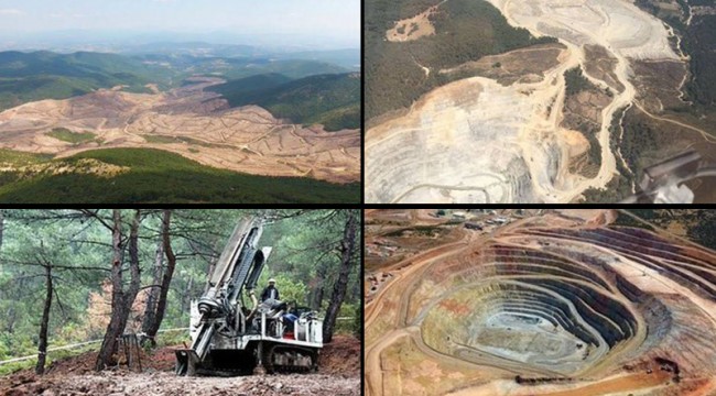 Enerji ve Tabii Kaynaklar Bakanlığı: Kaz Dağları'nda faaliyette bulunan firma hatıra ormanı oluşturacak