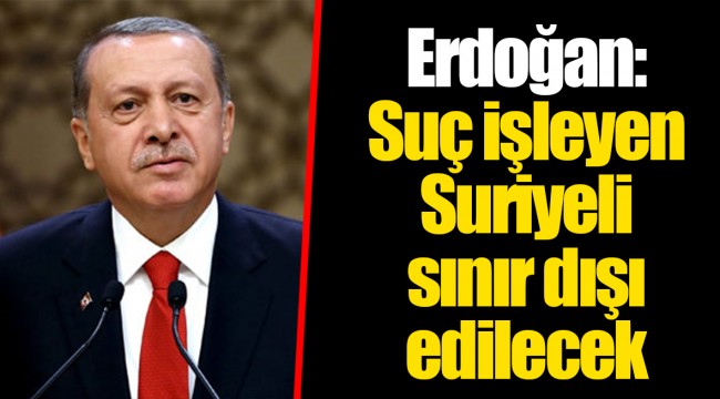Erdoğan: Suç işleyen Suriyeli sınır dışı edilecek