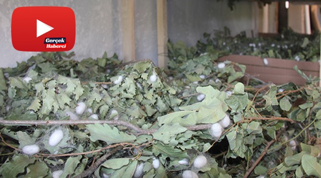 Evinin boş odası 42 günde 3,500 TL kazandırdı