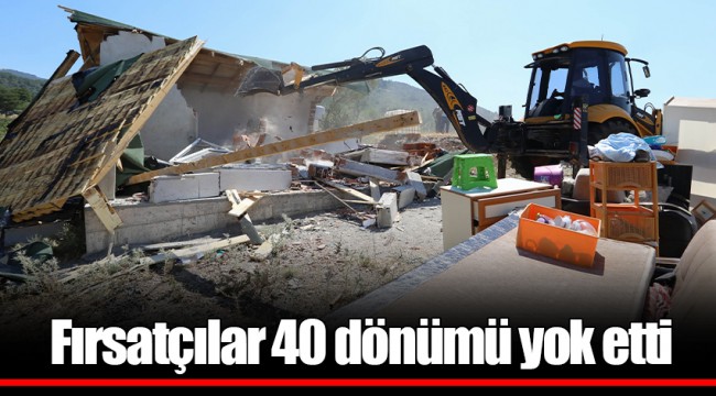 Fırsatçılar 40 dönümü yok etti