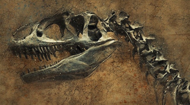 İsviçre'de yeni bir dinozor türü keşfedildi