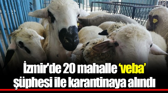 İzmir'de 20 mahalle ‘veba’ şüphesi ile karantinaya alındı
