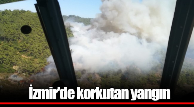 İzmir'de korkutan yangın