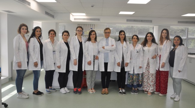Klonlama yöntemi ile bir yapraktan binlerce ağaç üretiliyor
