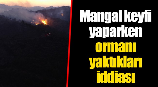 Mangal keyfi yaparken ormanı yaktıkları iddiası