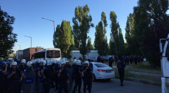 ODTÜ'de ağaçların kesilmesine tepki gösteren öğrencilere gazlı müdahale