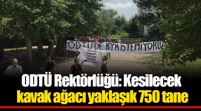 ODTÜ Rektörlüğü: Kesilecek kavak ağacı yaklaşık 750 tane