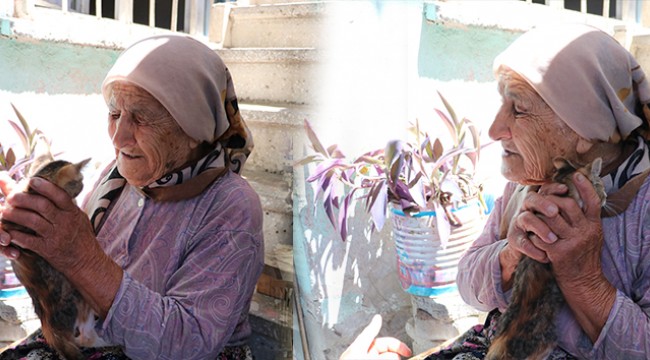 Otomobilin çarptığı kedisinin ardından gözyaşı döken yaşlı kadın yürek burktu