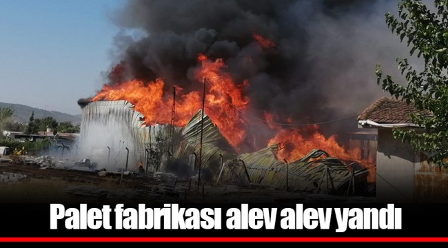 Palet fabrikası alev alev yandı
