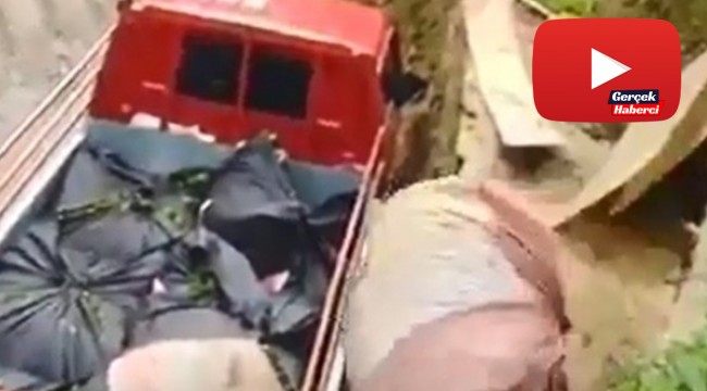 Rizeli'nin topladığı çayı kamyona yüklemek için bulduğu yöntem güldürdü