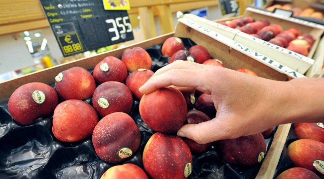 Rusya, sinek bulunan 20 ton nektarini Türkiye’ye iade etti