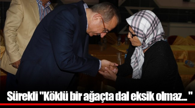 Sürekli "Köklü bir ağaçta dal eksik olmaz... "