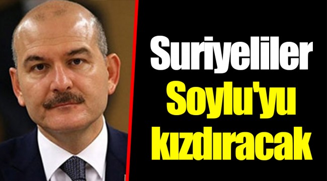 Suriyeliler Soylu'yu kızdıracak