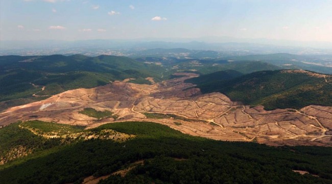 Tarım ve Orman Bakanlığı'ndan Kazdağları açıklaması