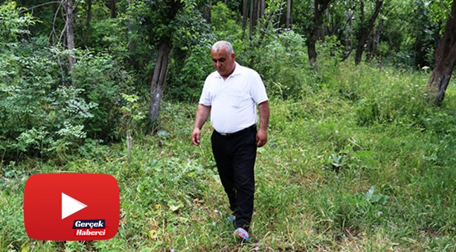 'Uykuda ölürüm' korkusu yüzünden üç yıldır uyuyamıyor