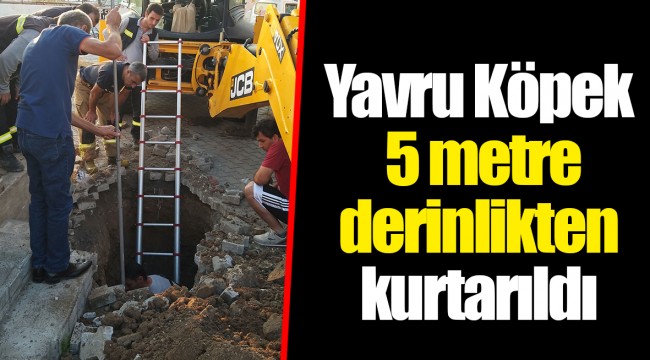 Yavru Köpek 5 metre derinlikten kurtarıldı