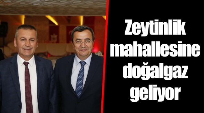 Zeytinlik mahallesine doğalgaz geliyor