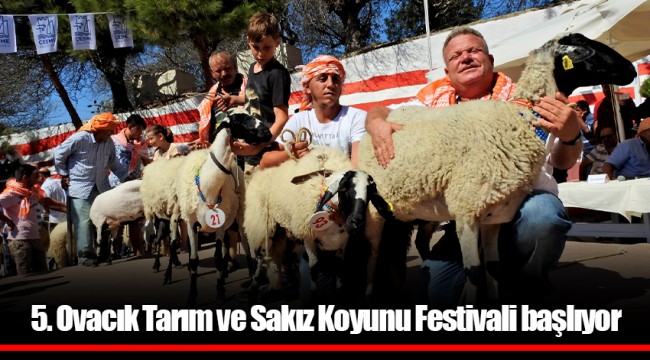 5. Ovacık Tarım ve Sakız Koyunu Festivali başlıyor