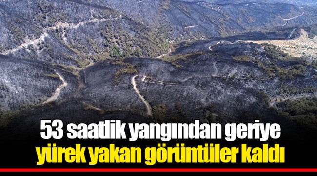 53 saatlik yangından geriye yürek yakan görüntüler kaldı