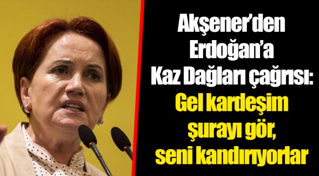 Akşener’den Erdoğan’a Kaz Dağları çağrısı: Gel kardeşim şurayı gör, seni kandırıyorlar