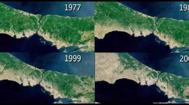 Araştırma: Dünyadaki yeşillenme 20 yıl önce durdu
