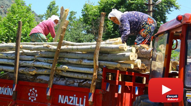 Aydın’daki keresteci kadınların ekmek mücadelesi