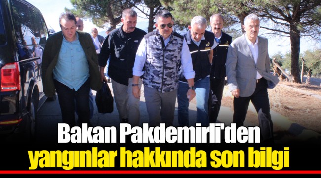 Bakan Pakdemirli'den yangınlar hakkında son bilgi