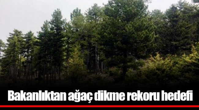 Bakanlıktan ağaç dikme rekoru hedefi